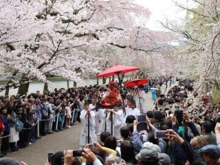 醍醐寺の桜写真２