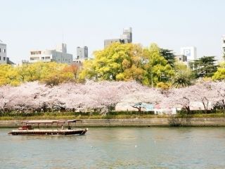 毛馬桜之宮公園の桜写真２