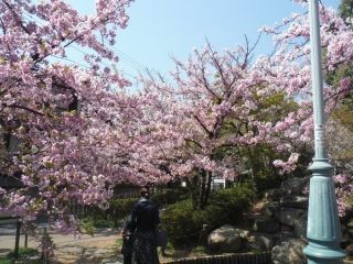 岡本南公園の写真４