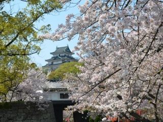 和歌山城の写真４