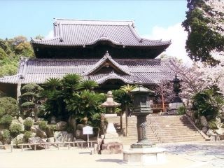 粉河寺の桜写真１