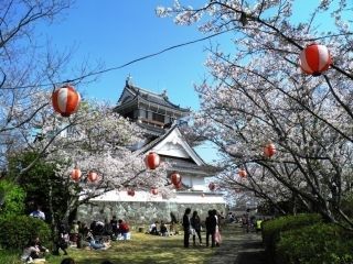妙見山公園の桜写真１