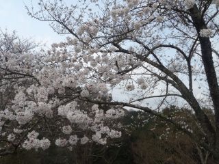 冨士山公園の写真３