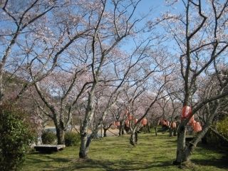 鮎乃瀬公園の写真３