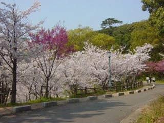 西公園（福岡県）の写真３