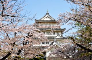 亥鼻公園（千葉城）の桜写真２