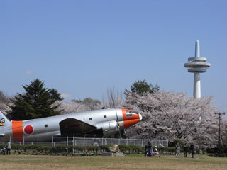 所沢航空記念公園の写真４