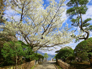 恩賜箱根公園の写真３