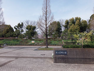 猿江恩賜公園の桜写真１