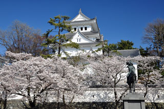 大垣城の桜写真１