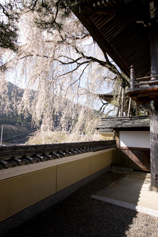 浄福寺の写真３