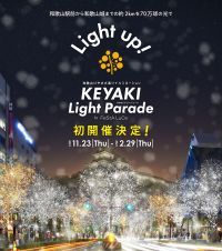 和歌山けやき大通りイルミネーション「KEYAKI LIGHT PARADE by FeStA LuCe」2023年11月23日 スタート！！