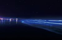 茨城DC特別企画 NIGHTWAVE～海のイルミネーションin大洗～