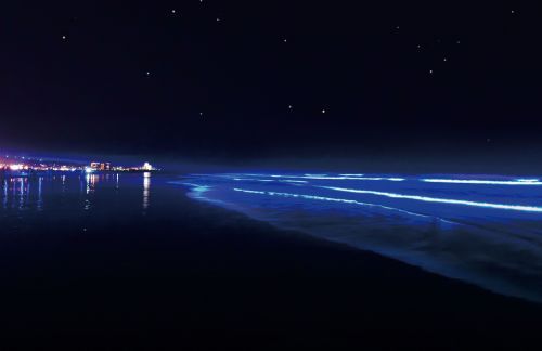 NIGHTWAVE～海のイルミネーションin大洗～イメージ