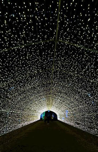 「chie」さんからの投稿写真＠KOIWAI Winter Lights 銀河農場の夜2023