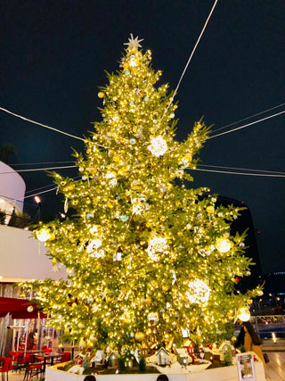 「まゆぼう」さんからの投稿写真＠横浜ベイクォーター Christmas Wonderland