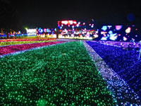 Tobu Zoo Winter Illumination