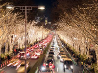 表参道イルミネーション2018の写真