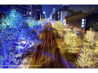 Midosuji Street Illumination