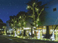 COLTON CHRISTMAS Festival 2019の写真