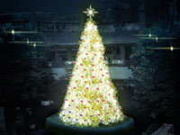 Tokyo Opera City Brilliant Christmas 2020の写真