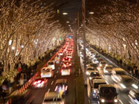 表参道イルミネーション2019の写真
