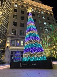 京橋エドグラン クリスマスイルミネーションの写真