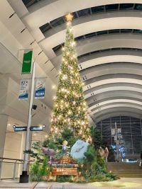 クイーンズスクエア横浜クリスマス 2023 IMAGINARY Christmasの写真