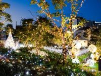 大名古屋ビルヂング ウィンターイルミネーション ～シャンパンゴールドクリスマス～の写真