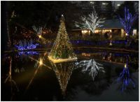 京王フローラルガーデン アンジェ「アンジェのクリスマス」の写真