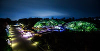Kyoto Botanical Garden Illumination