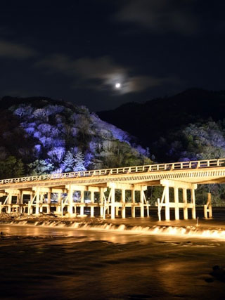 京都・嵐山花灯路写真１