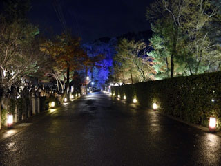 京都・嵐山花灯路写真２