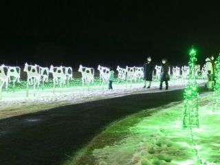 KOIWAI Winter Lights 銀河農場の夜写真２