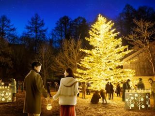 軽井沢星野エリアのクリスマス写真１
