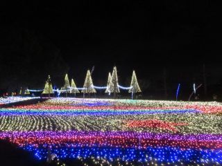 木曽三川公園センター・冬の光物語写真１