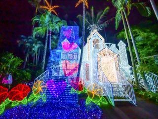 東南植物楽園「沖縄南国イルミネーション」の写真３