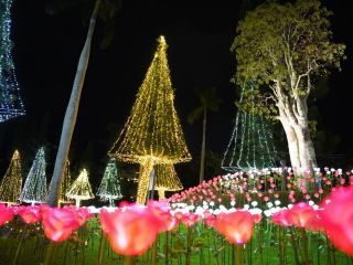 東南植物楽園「沖縄南国イルミネーション」の写真４