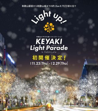 和歌山けやき大通りイルミネーション KEYAKI LIGHT PARADE by FeStA LuCe写真１