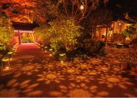 本物の日本文化を体感!京都・岩船寺ライトアップ2023年12月1日～3日開催