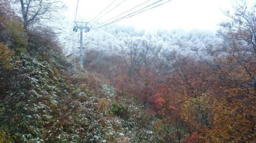 紅葉と初雪のコラボ