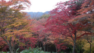 「劇団ひまわり」さんからの投稿写真＠笠置山自然公園