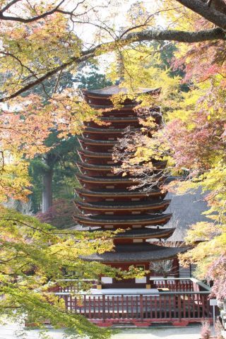 「なかちゅう」さんからの投稿写真＠談山神社