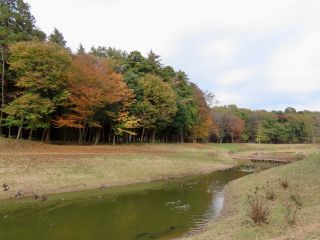 「栃木の山ちゃん」さんからの投稿写真＠みずほの自然の森公園