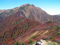 谷川岳・天神平の写真