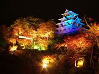 郡上八幡城(積翠城)の写真