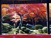 圓光寺の写真