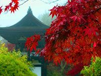 長岳寺の写真