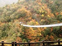 梅の木轟公園吊橋の写真