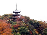 산케이엔 정원의 단풍